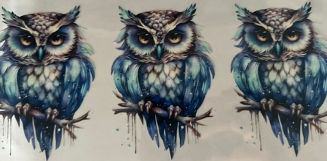 Blue Owls
