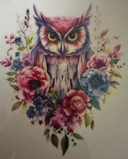 Colorful owl