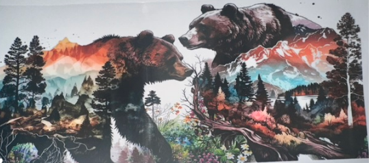 Bear nature