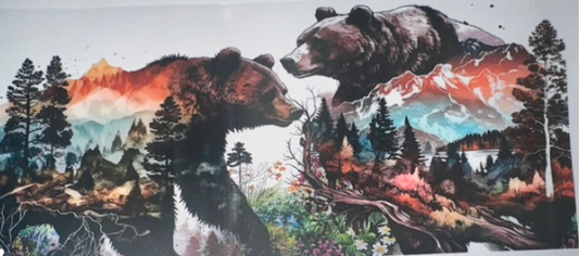 Bear nature