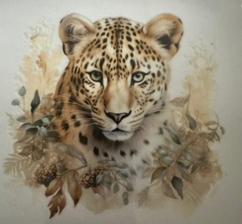 Cheeta