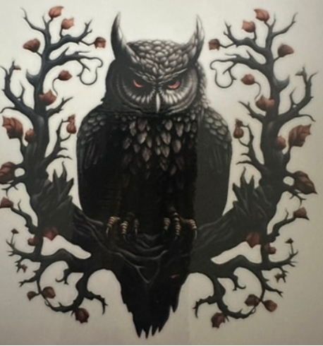 Dark owl