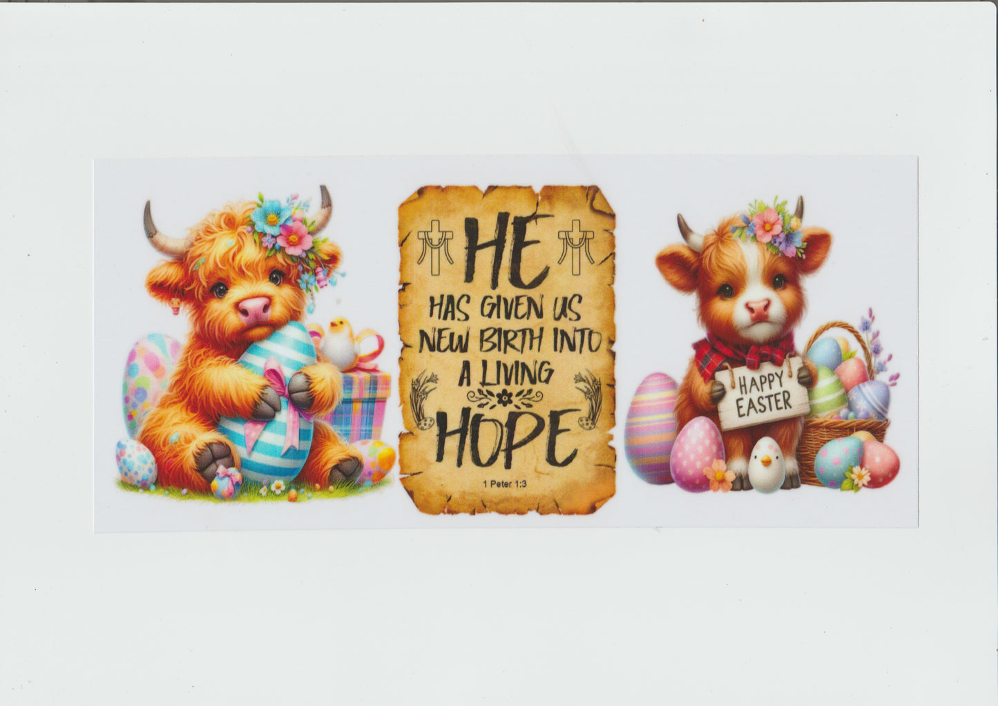 He has given us
