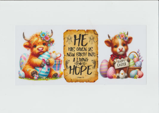 He has given us