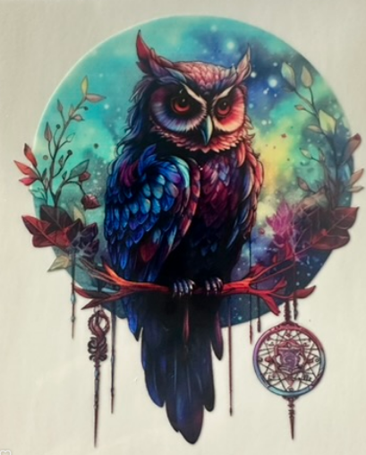 Owl