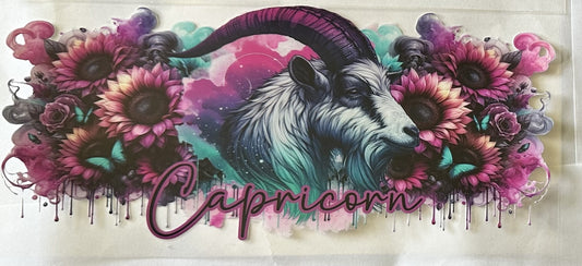 Capricorn color