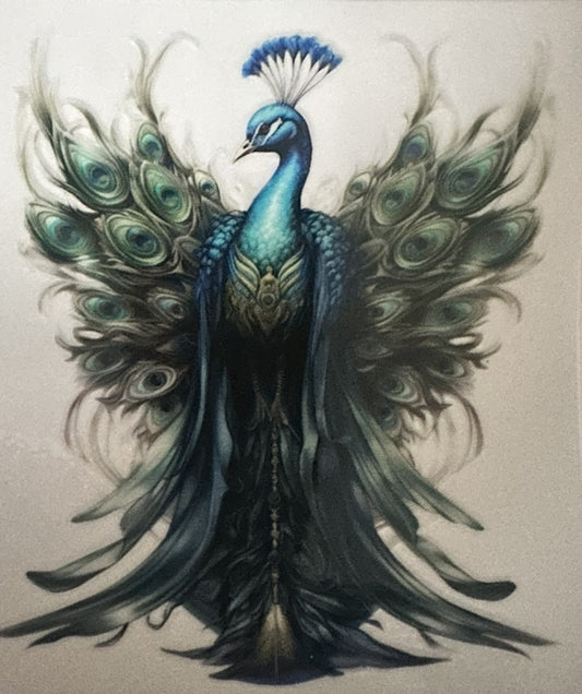peacock